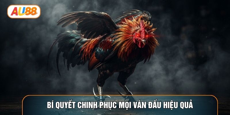 Bí quyết chinh phục mọi ván đấu hiệu quả Bí quyết chinh phục mọi ván đấu hiệu quả