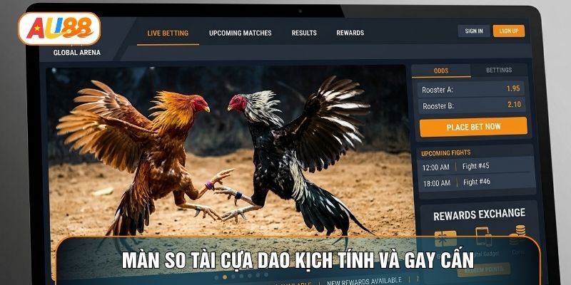 Màn so tài cựa dao kịch tính và gay cấn